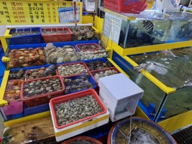 미숙이회수산 이미지