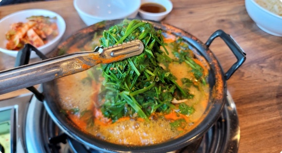 풍성한칼국수 이미지