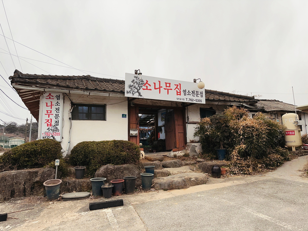 소나무집 이미지