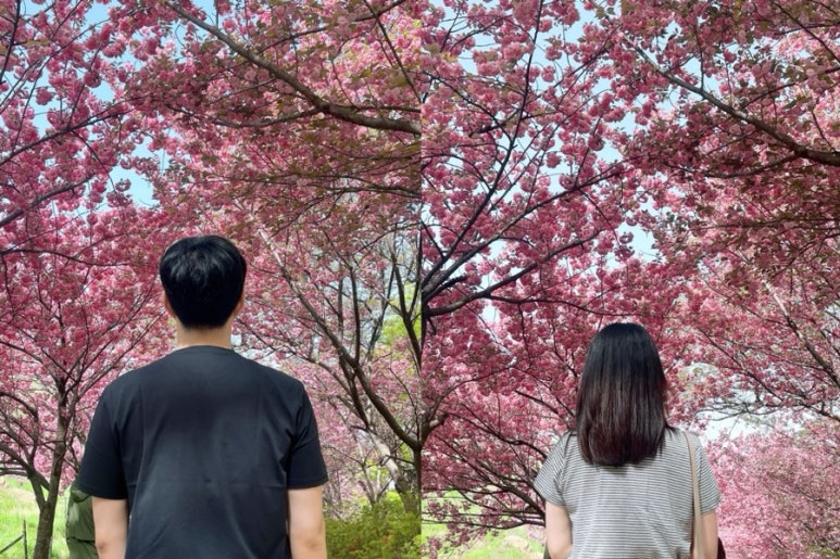 803별미칡냉면 서산점 이미지
