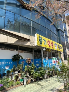 풍기인삼복어 이미지