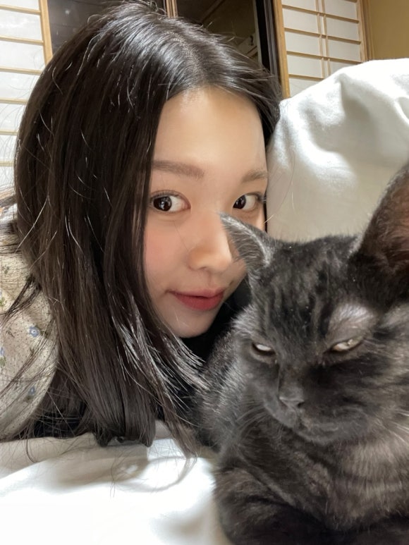 포포카롱 이미지