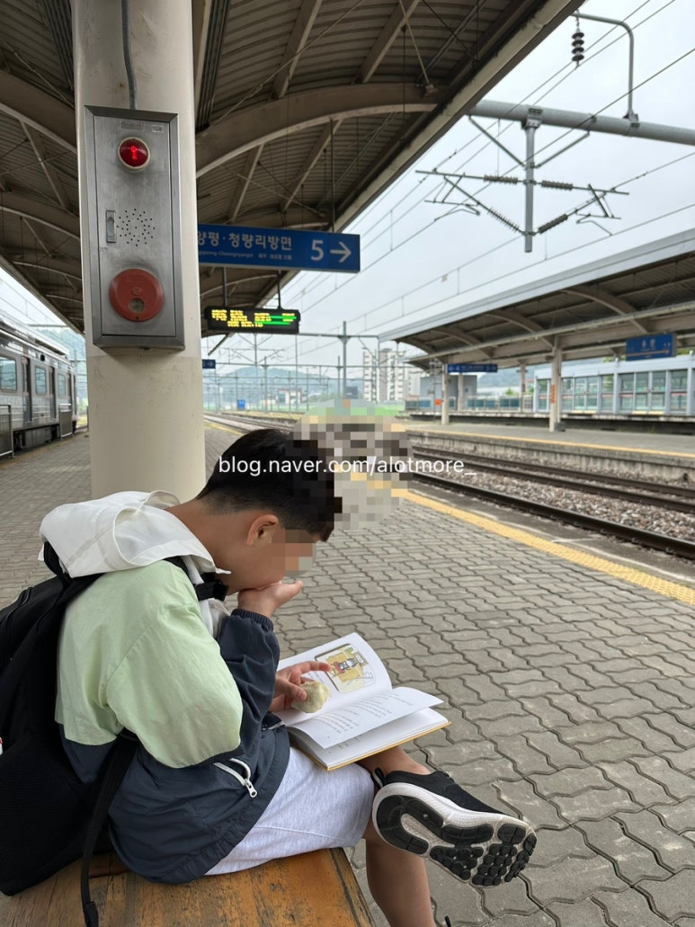 용문찐빵 이미지