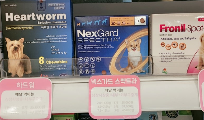 코코약국 이미지