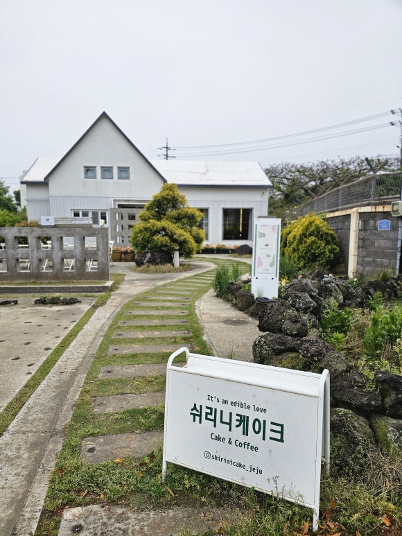 쉬리니케이크 이미지
