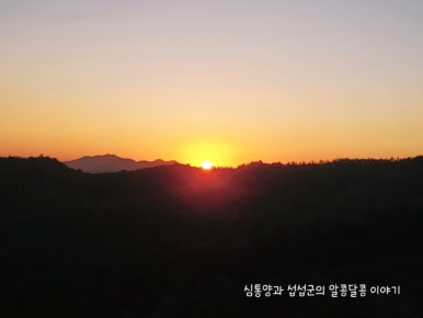 보성녹차리조트 이미지