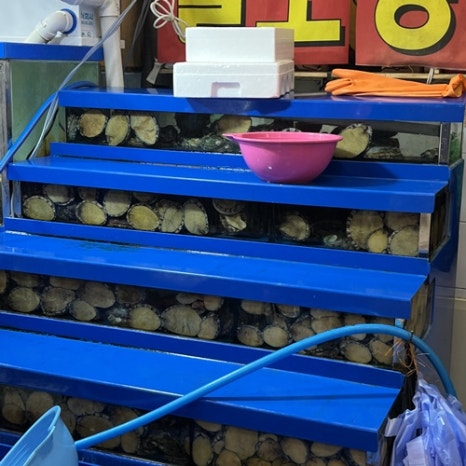 동일상회 이미지