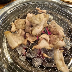 바로돼지 이미지