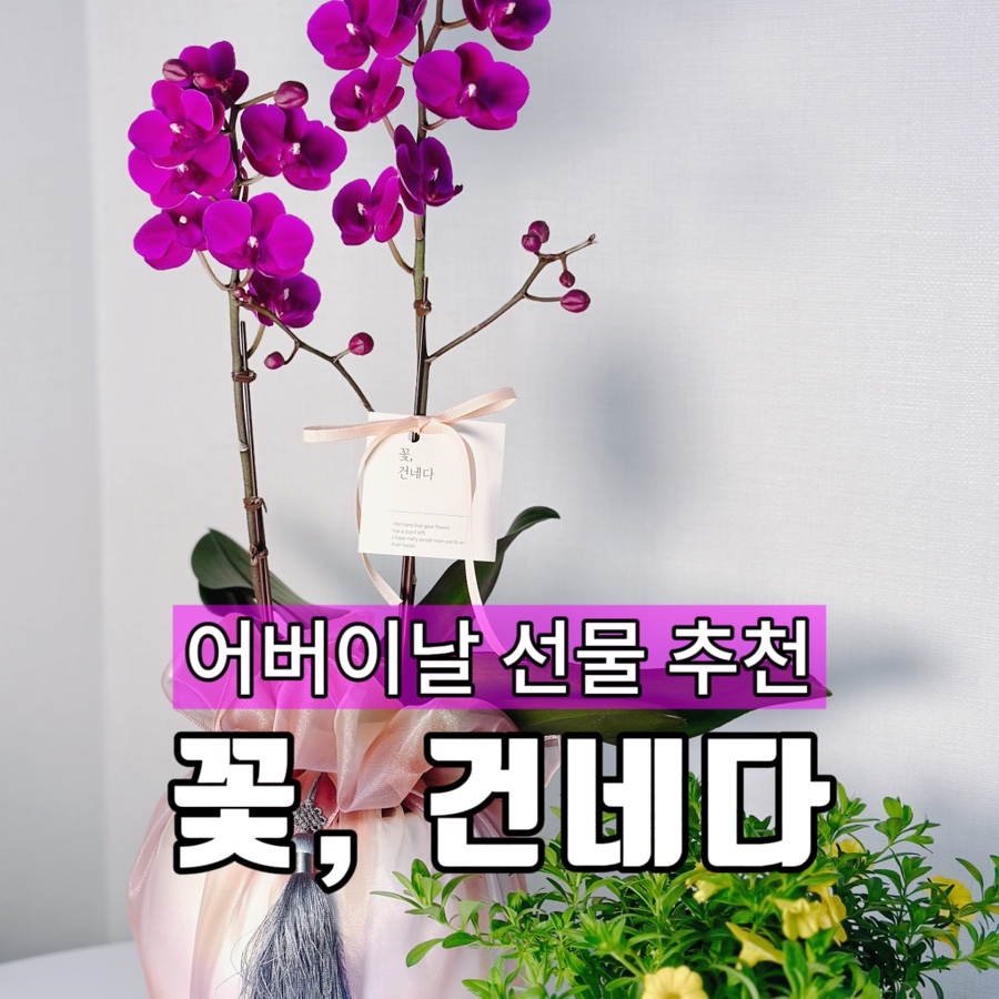 꽃;건네다 이미지