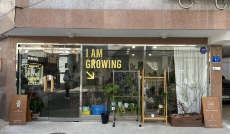 분즈 이미지