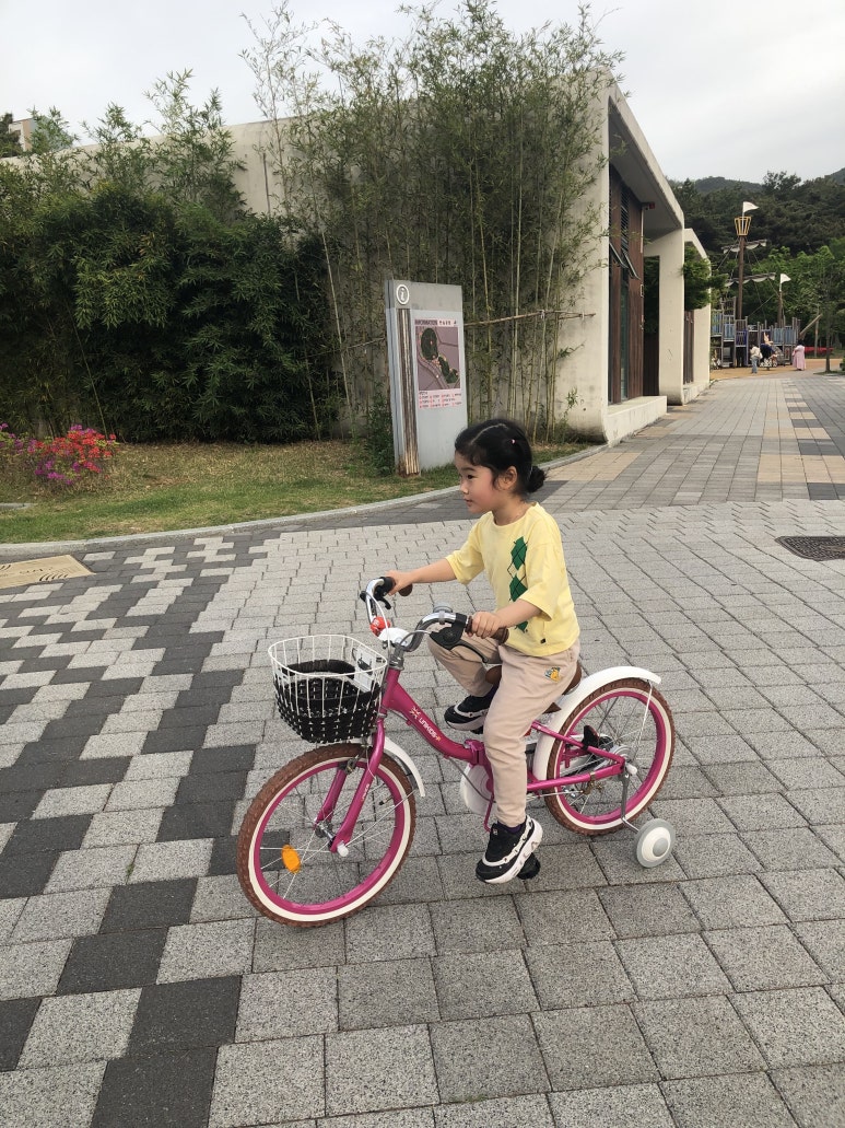 차이나소담 이미지