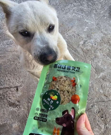 일상화식 이미지