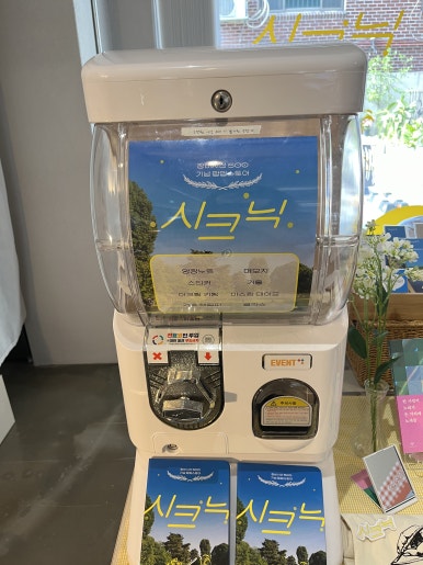 이다사 이미지