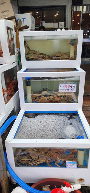 한마음대게수산 이미지