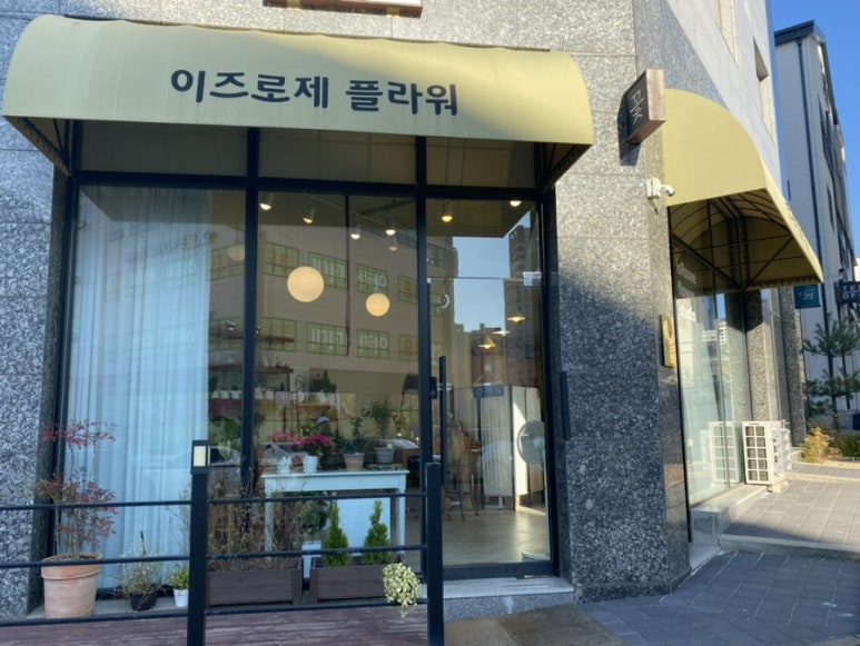 이즈로제 이미지