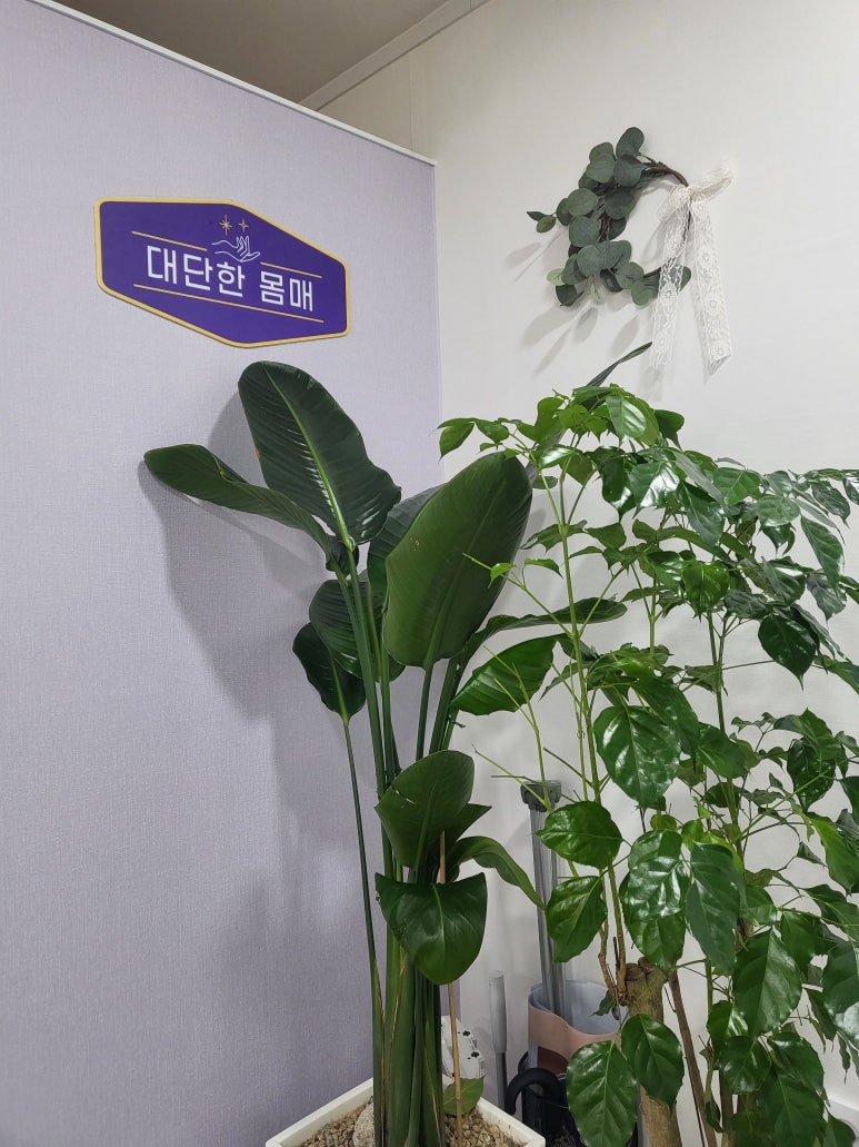 대단한몸매분당이매점 이미지