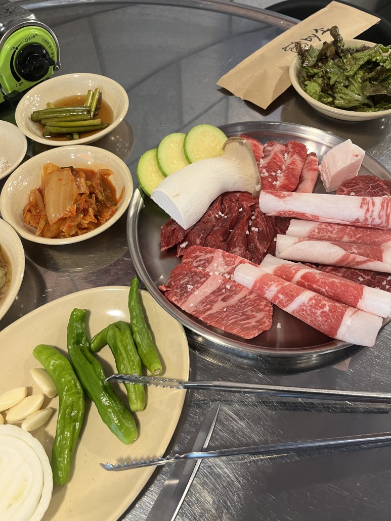 바이소 이미지