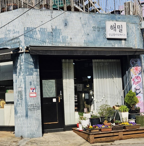 해밀플라워 이미지