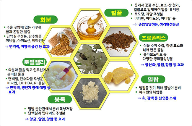 수목건강식품 이미지