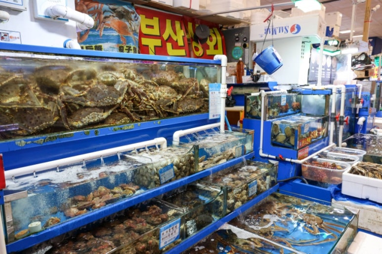 부산상회 이미지