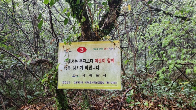 무릉2리마을회 이미지