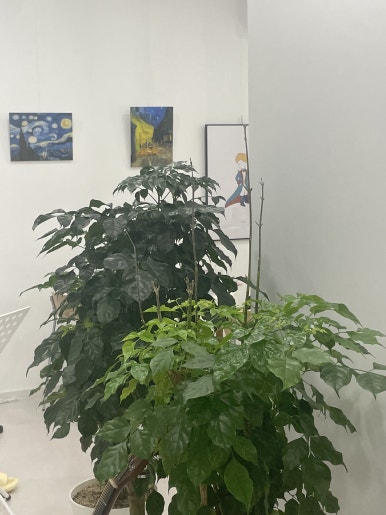 브리즈음악학원 이미지