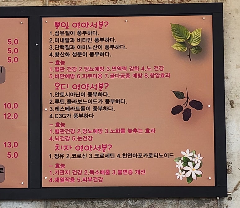 미화 3색김밥 까페 이미지