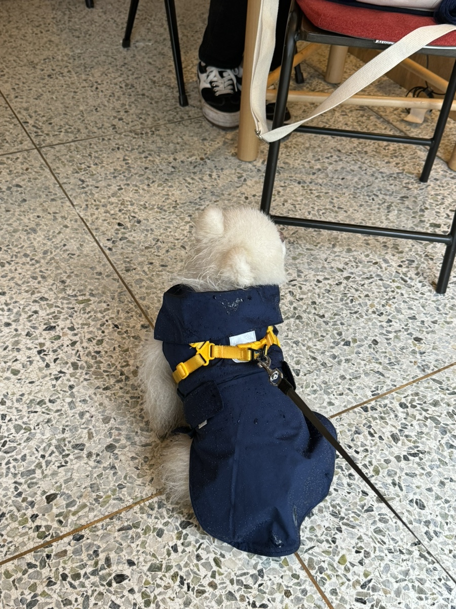 콜렉트마이페이보릿 이미지
