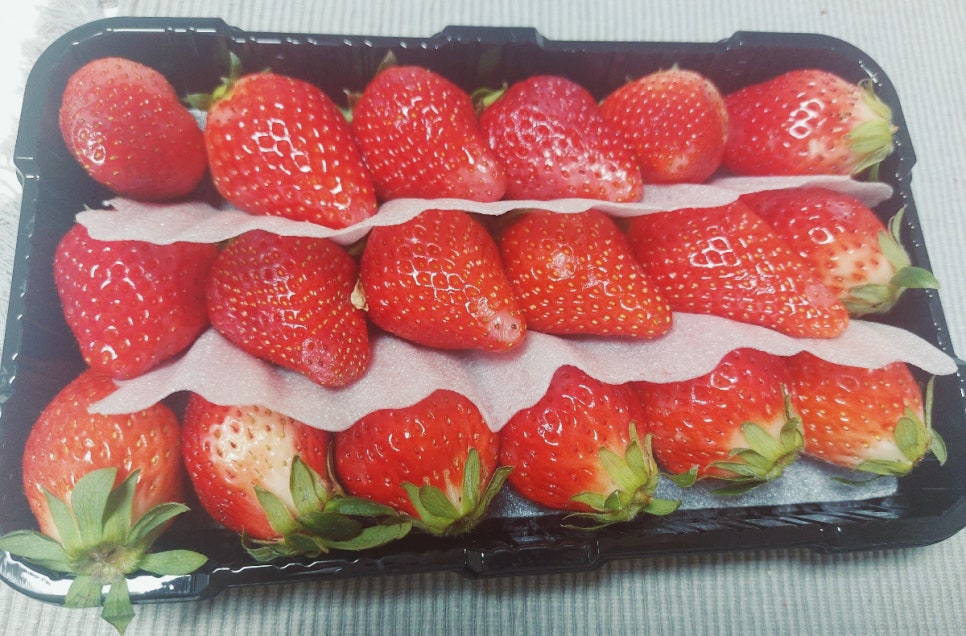 다랑손만두 이미지