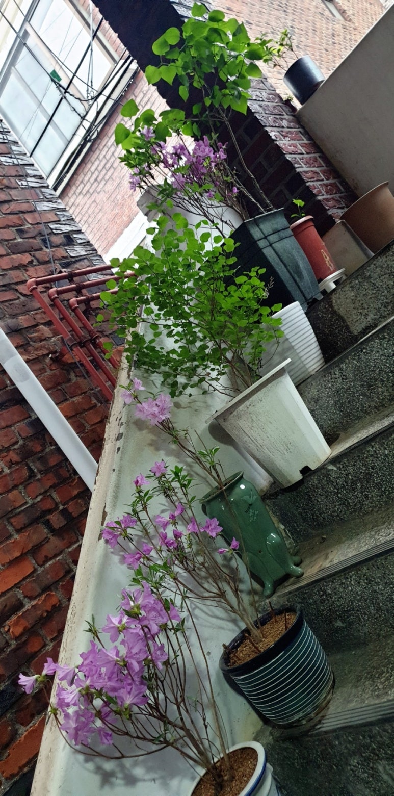 미스힐링센터 이미지