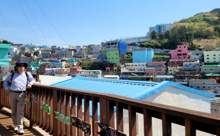 토성관광주 이미지