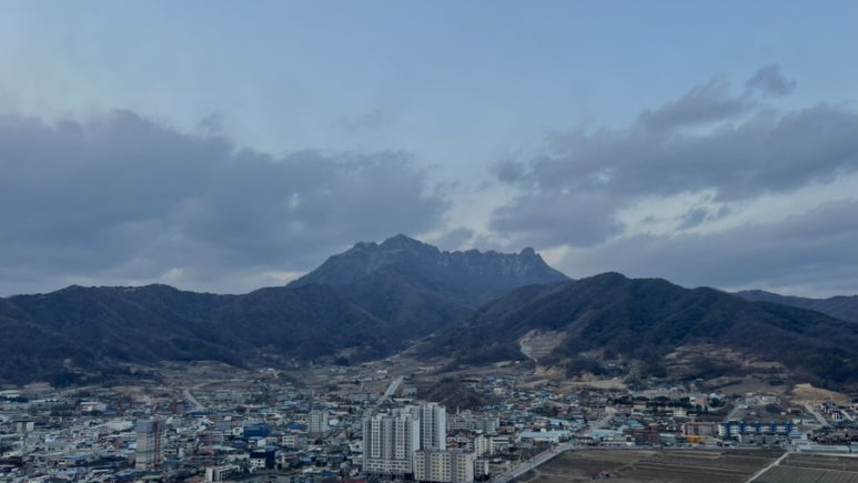 막창을품은맹구 이미지