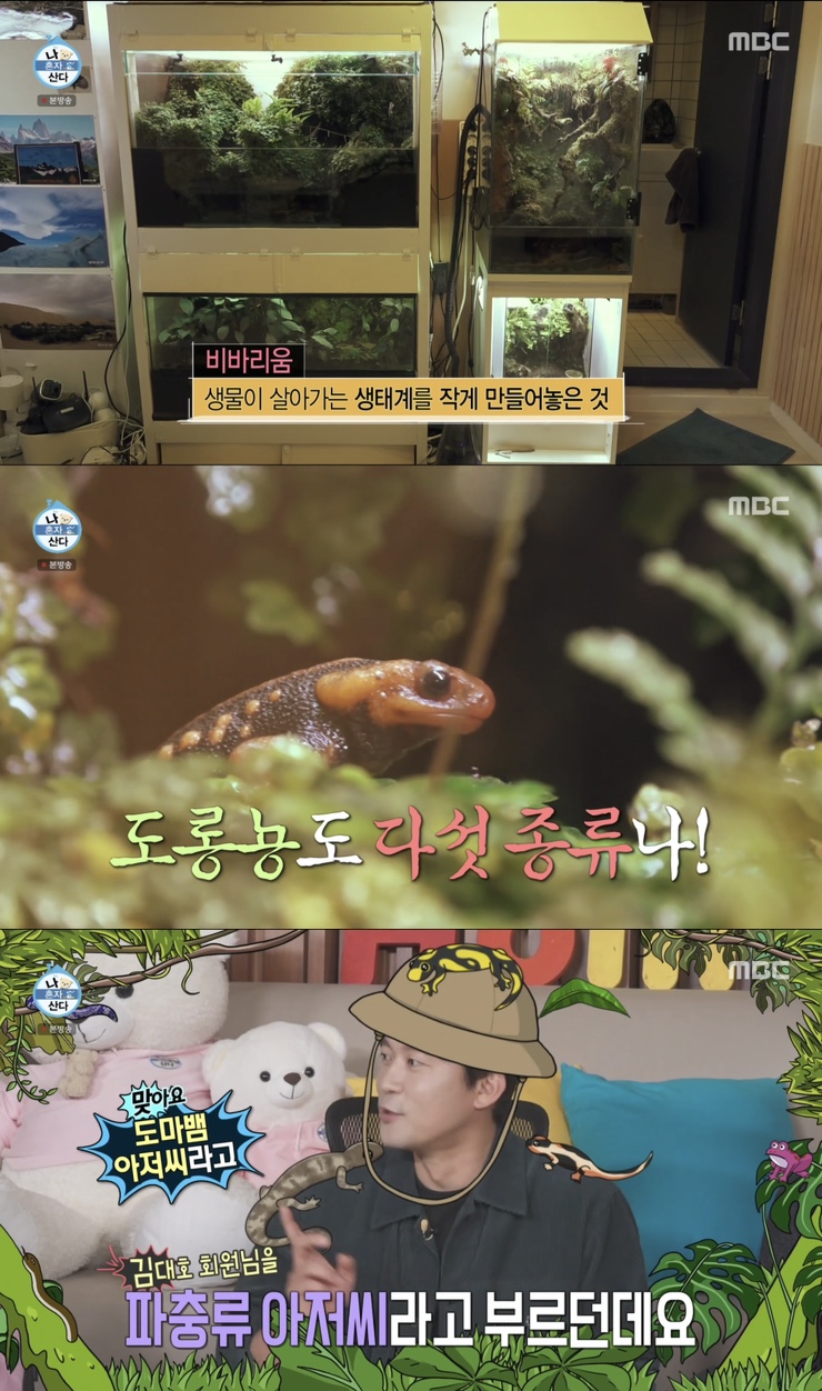 갤러리코쿤 이미지