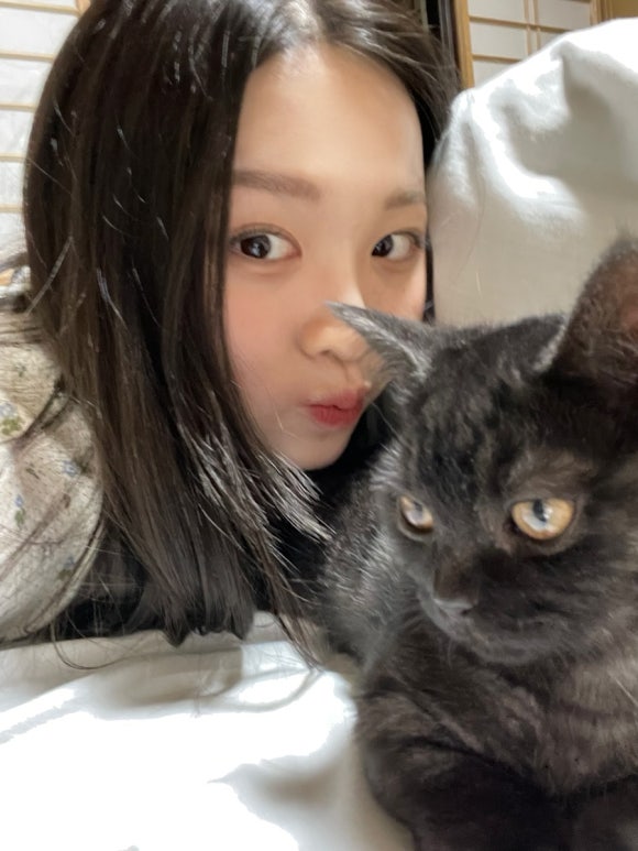 포포카롱 이미지