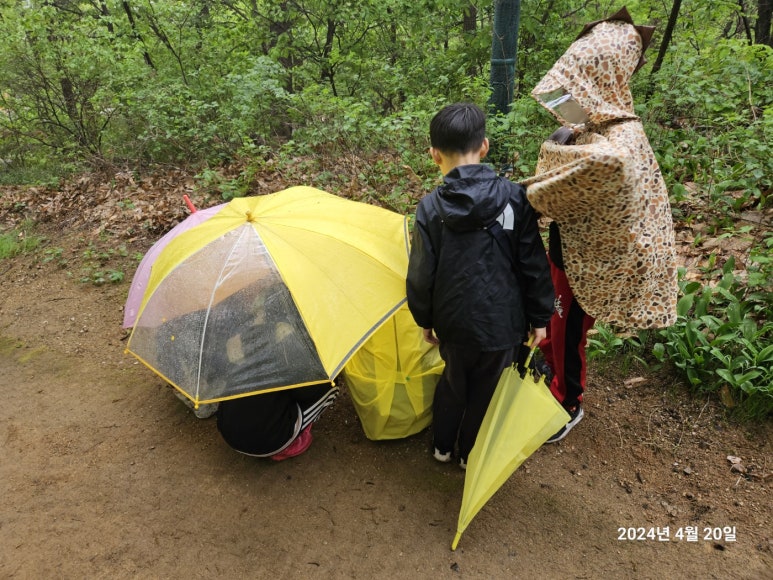 나산초등학교 이미지