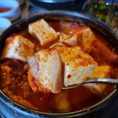 뼈탄집2 이미지