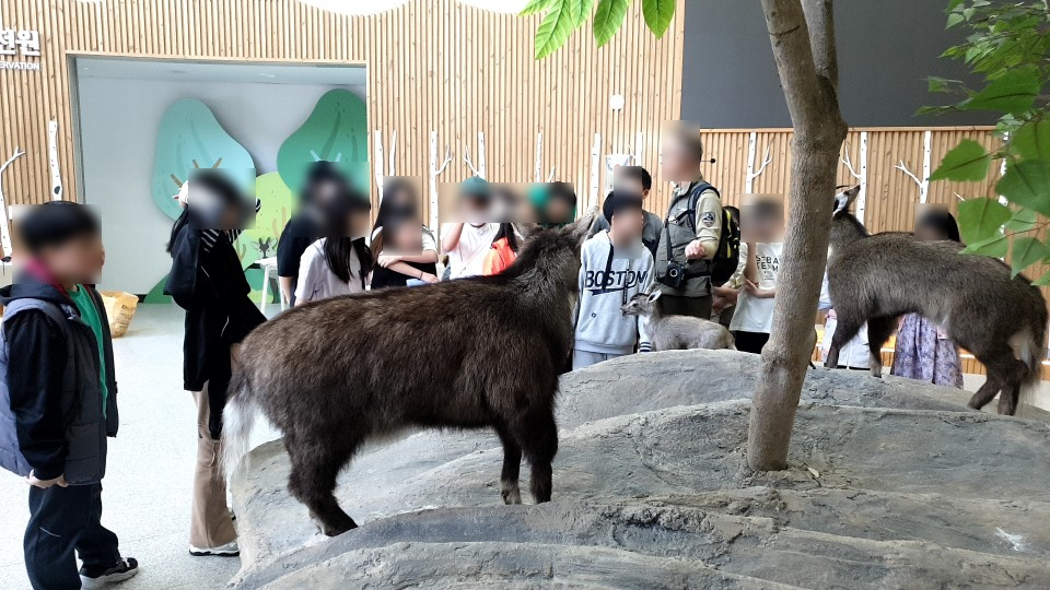 용대초등학교 이미지
