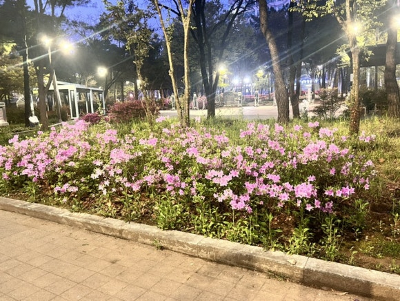 양곱이시지점 이미지