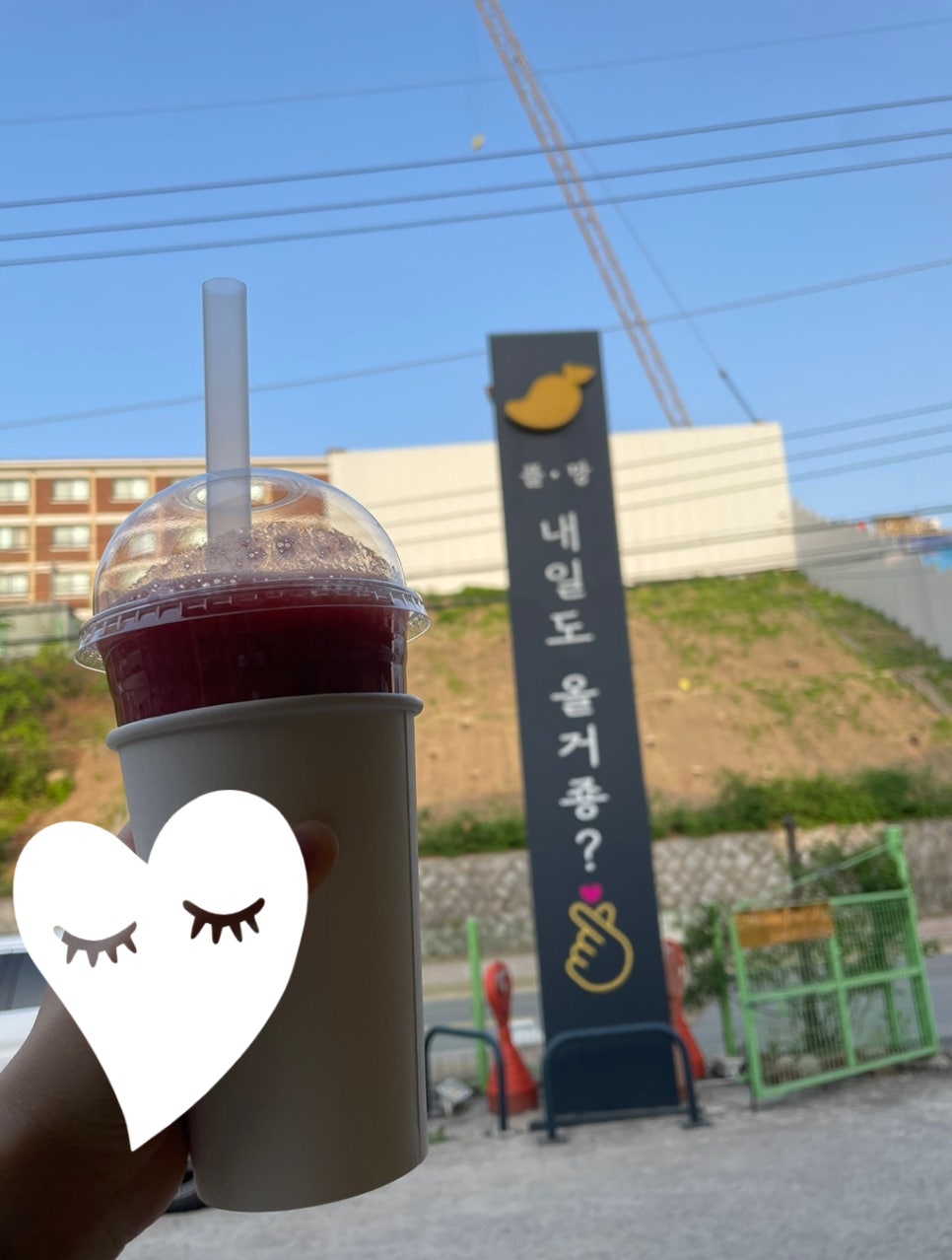 플레르망고 이미지