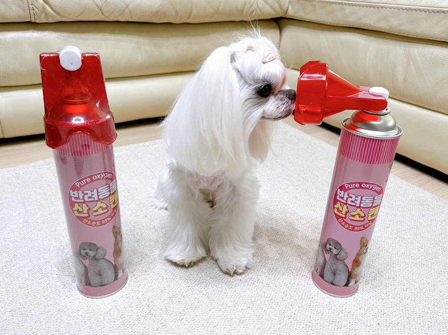 캔닷컴 이미지
