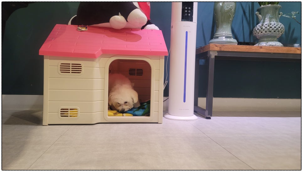 선릉위드피아노학원 이미지
