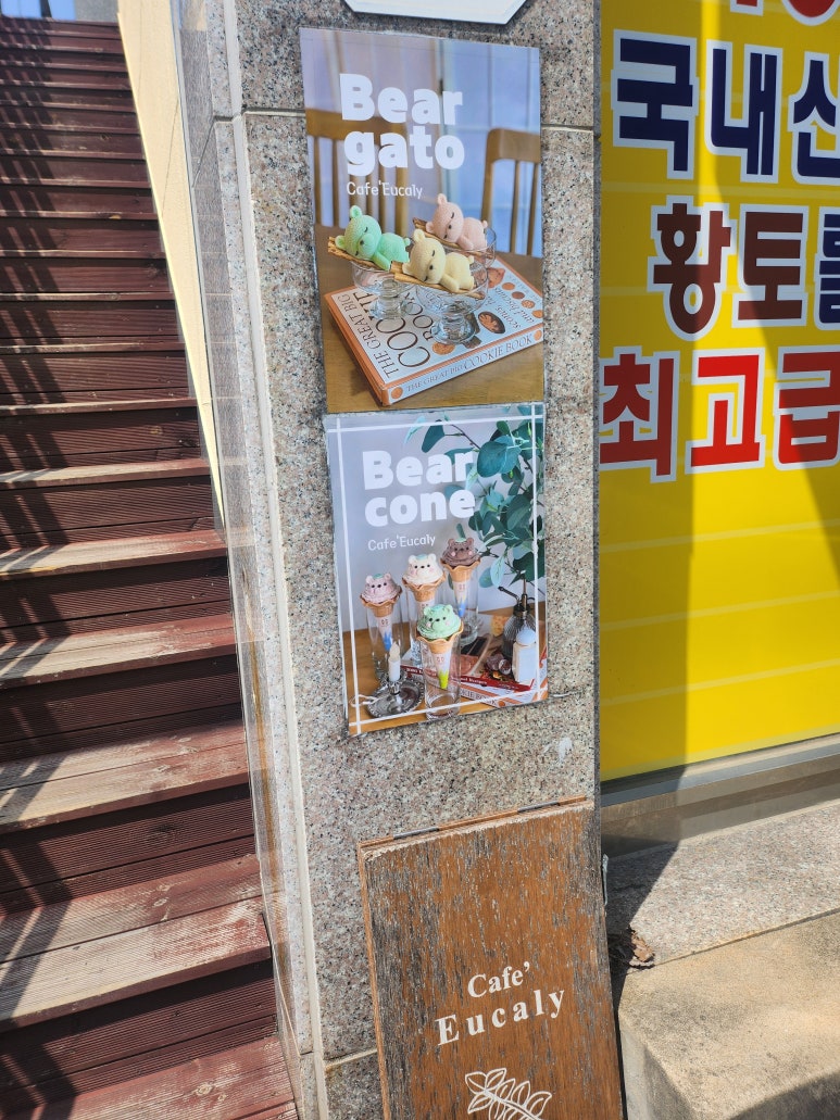 베어프룻 이미지