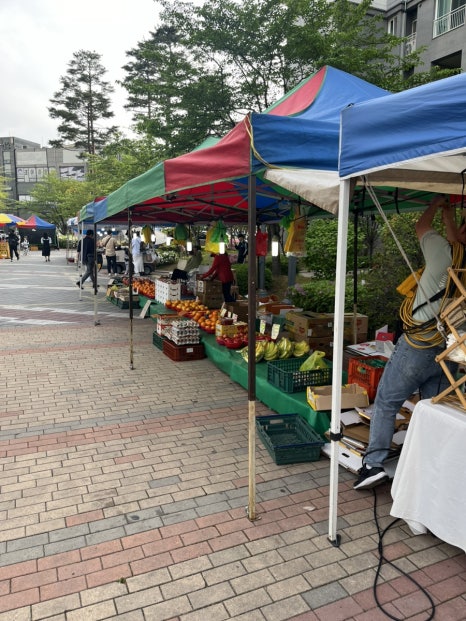 장터돈까스 이미지