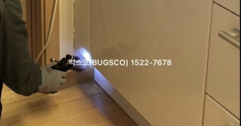 벅스코 이미지
