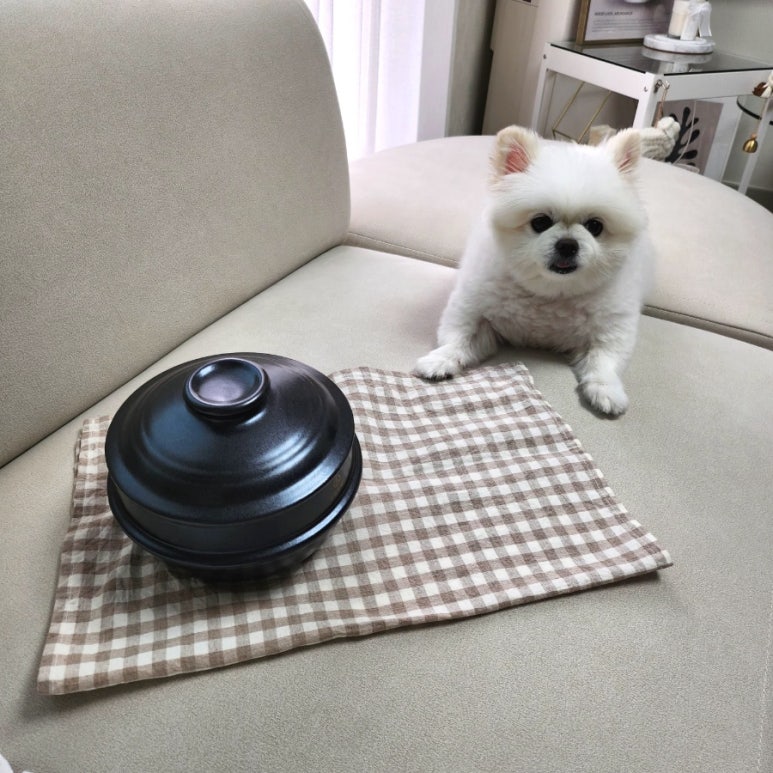 신일토기 이미지