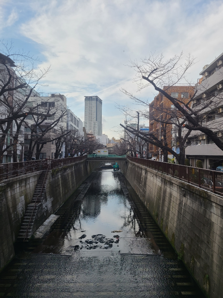 (주)미소미트 이미지