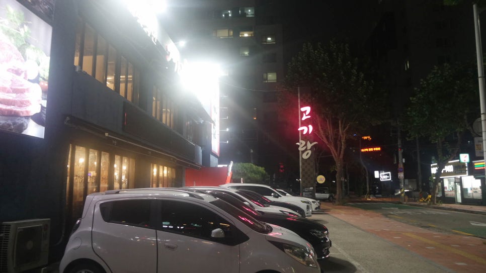 팔달고기 이미지