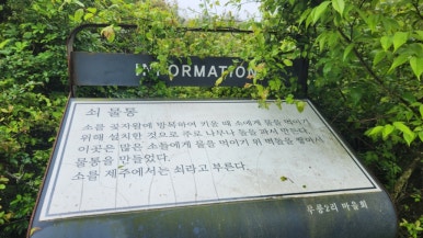 무릉2리마을회 이미지