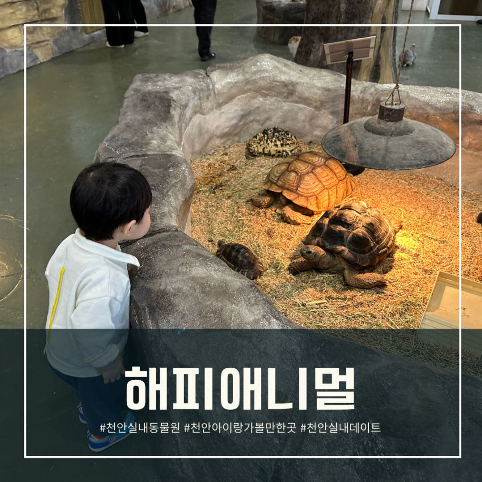 해피애니멀 이미지