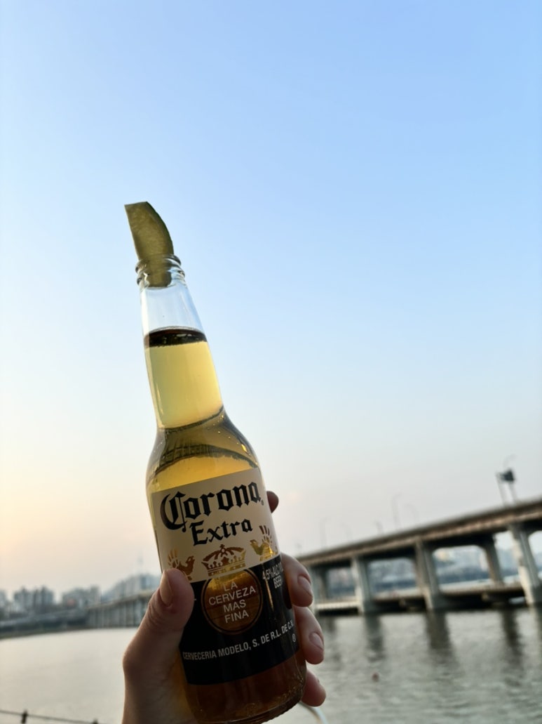 새빛넷 이미지